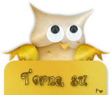 Torna su